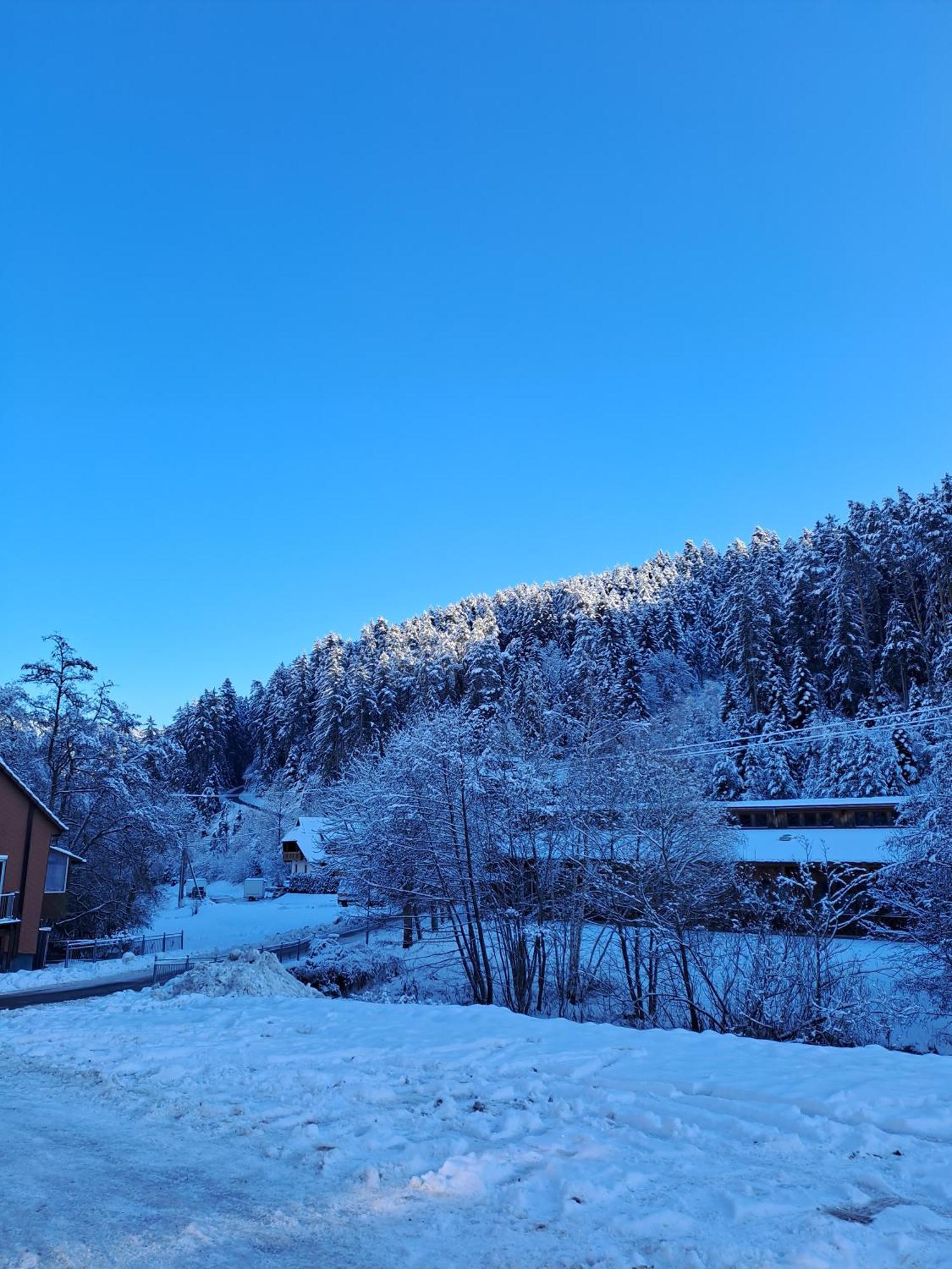 Ferienwohnung Les Papillons Schramberg Exterior foto