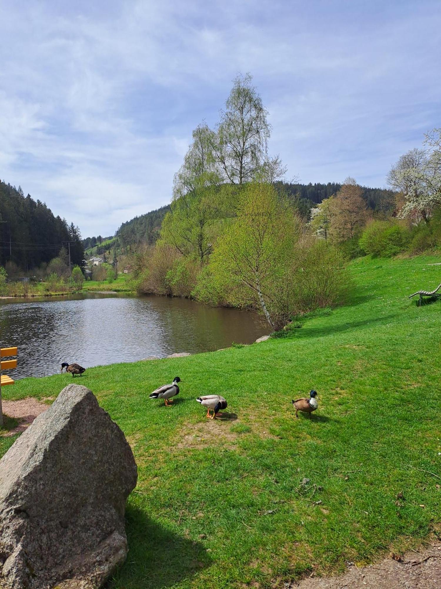 Ferienwohnung Les Papillons Schramberg Exterior foto